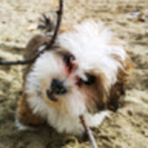 Meet your Posher, Donut